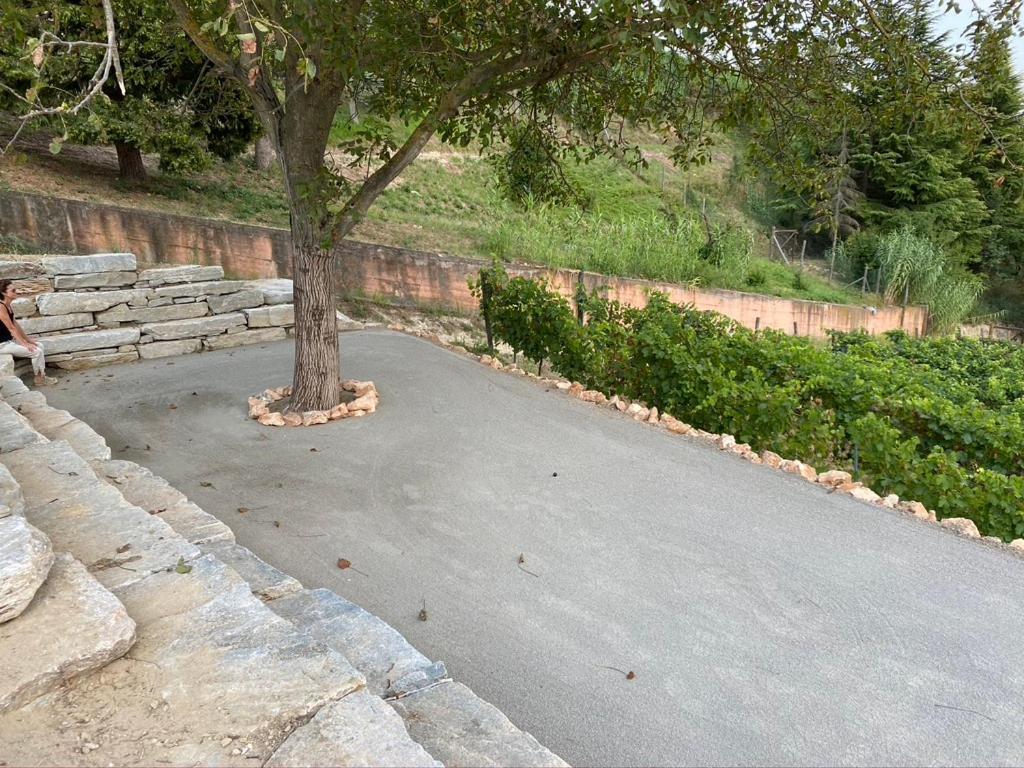 Giarvino Boutique Guest House Acqui Terme Exteriör bild